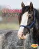 Cover image of Clydesdale horses