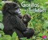 Cover image of Gorillas and their infants