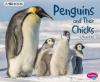 Cover image of Penguins and their chicks