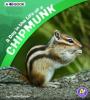Cover image of A day in the life of a chipmunk