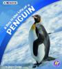 Cover image of A day in the life of a penguin