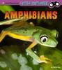 Cover image of Amphibians