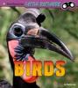 Cover image of Birds