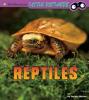 Cover image of Reptiles