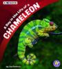 Cover image of A day in the life of a chameleon