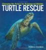 Cover image of Turtle rescue