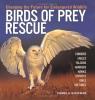 Cover image of Birds of prey rescue