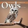 Cover image of Exploring the world of owls