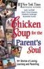 Cover image of Chicken soup for the parents soul