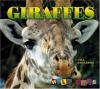 Cover image of Giraffes