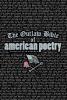 Cover image of The outlaw bible of American poetry