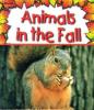 Cover image of Animals in the fall
