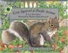 Cover image of Gray Squirrel at Pacific Avenue