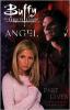 Cover image of Buffy the vampire slayer, Angel