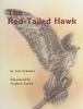 Cover image of The red-tailed hawk