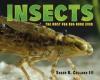 Cover image of Insects