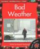 Cover image of Bad weather