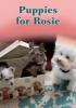 Cover image of Puppies for Rosie