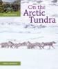 Cover image of On the Arctic tundra