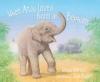 Cover image of When Anju loved being an elephant