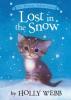 Cover image of Lost in the snow