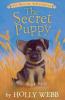 Cover image of The secret puppy