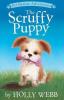 Cover image of The scruffy puppy