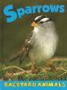 Cover image of Sparrows