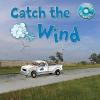 Cover image of Catch the wind