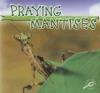 Cover image of Praying mantises