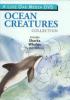 Cover image of Ocean creatures collection