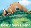 Cover image of Bear's new friend