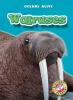 Cover image of Walruses