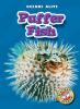 Cover image of Puffer fish