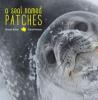 Cover image of A seal named Patches