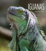 Cover image of Iguanas