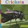Cover image of Crickets