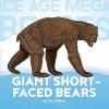 Cover image of Giant short-faced bears