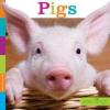 Cover image of Pigs