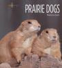 Cover image of Prairie dogs