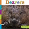 Cover image of Beavers