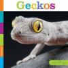 Cover image of Geckos