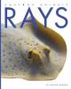 Cover image of Rays