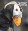 Cover image of Puffins