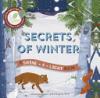 Cover image of Secrets of winter