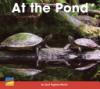 Cover image of At the Pond