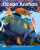 Cover image of Ocean Animals