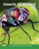 Cover image of Insects All Around