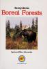 Cover image of Boreal forests