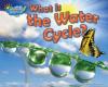 Cover image of What is the water cycle?